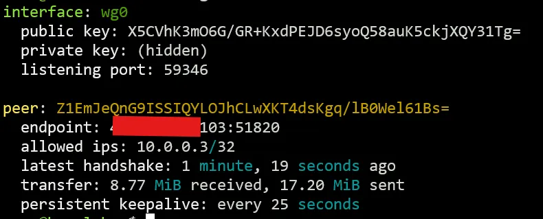 Output of sudo wg command
