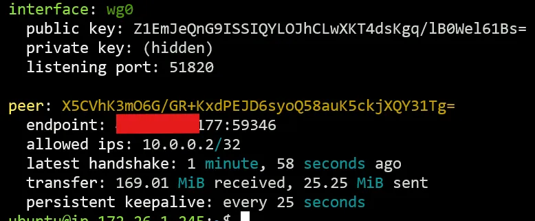 Output of sudo wg command